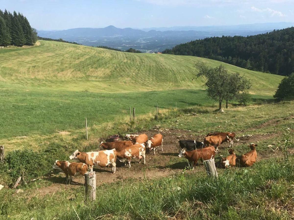 Apartments Planina Pod Sumikom Planina pod Sumnikom Zewnętrze zdjęcie