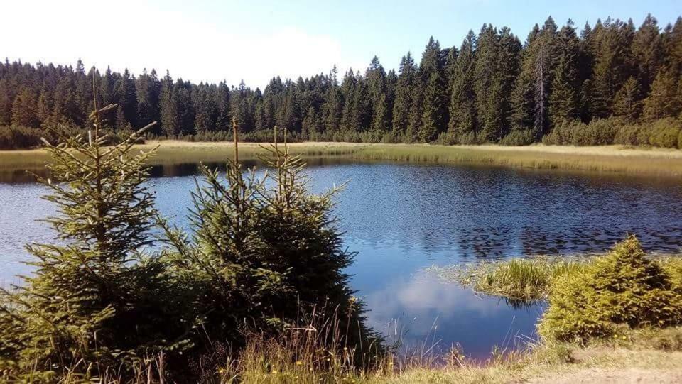 Apartments Planina Pod Sumikom Planina pod Sumnikom Zewnętrze zdjęcie