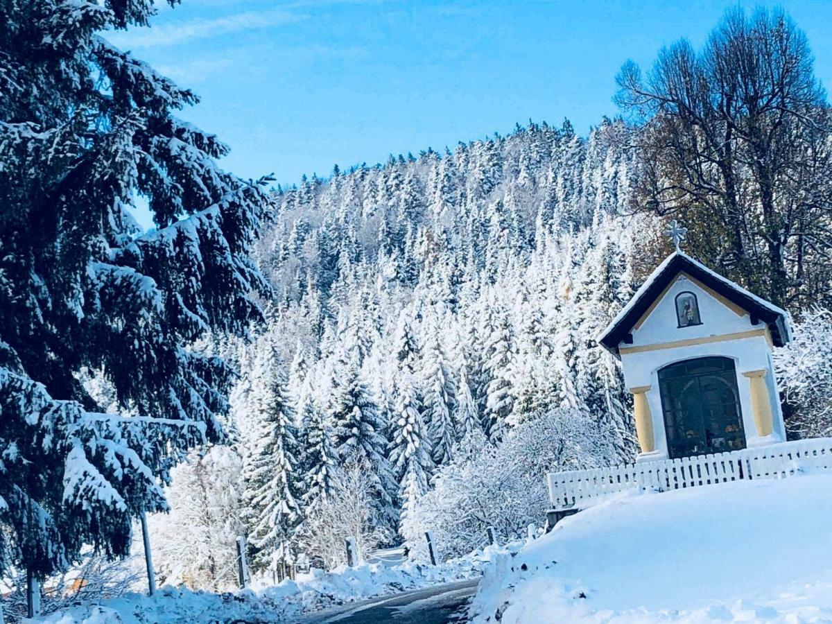 Apartments Planina Pod Sumikom Planina pod Sumnikom Zewnętrze zdjęcie