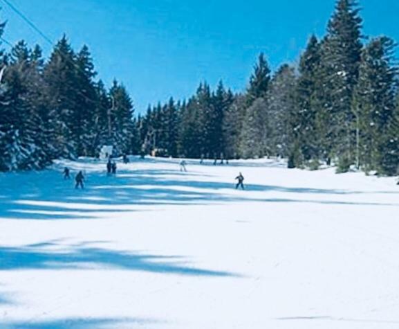 Apartments Planina Pod Sumikom Planina pod Sumnikom Zewnętrze zdjęcie