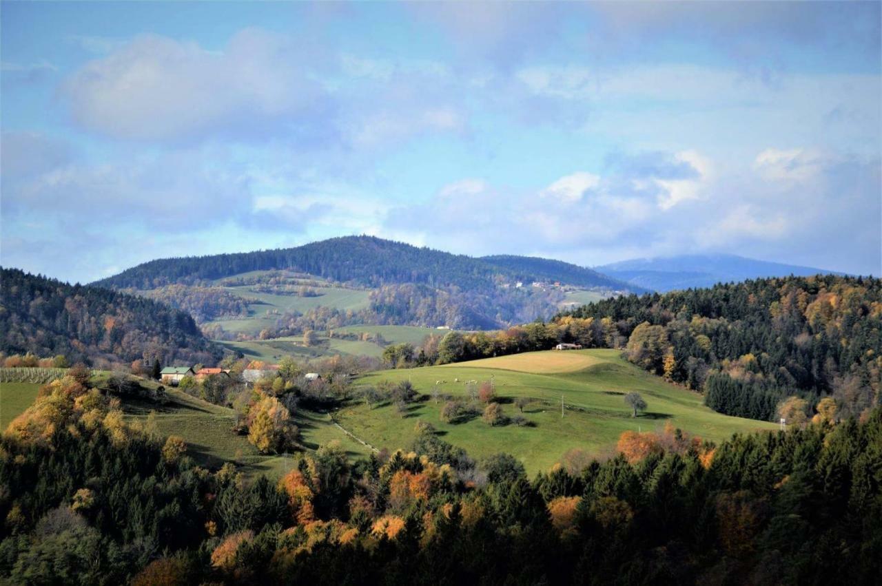 Apartments Planina Pod Sumikom Planina pod Sumnikom Zewnętrze zdjęcie