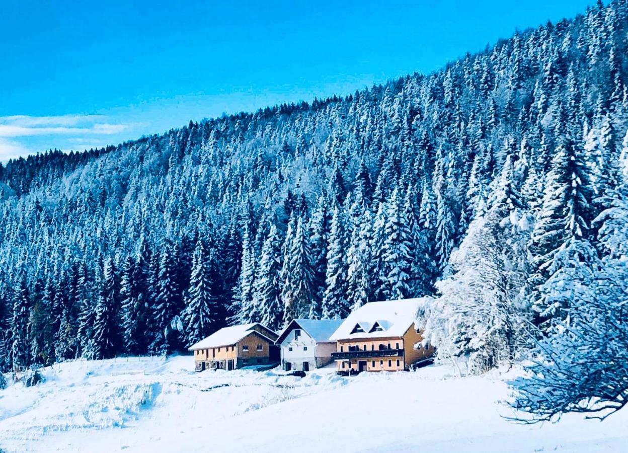 Apartments Planina Pod Sumikom Planina pod Sumnikom Zewnętrze zdjęcie